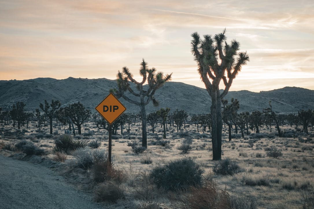 Joshua Tree National Park at sunset