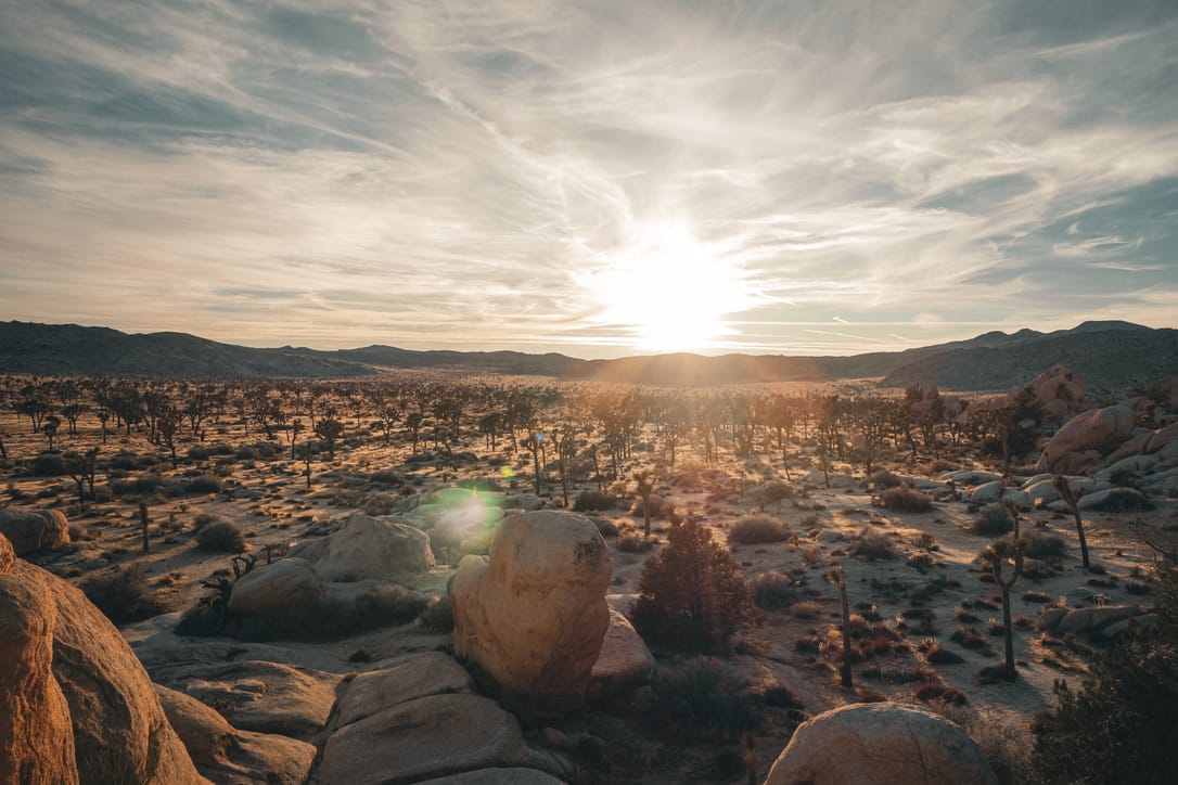 Joshua Tree National Park